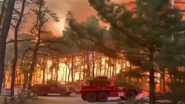 حرائق الغابات في