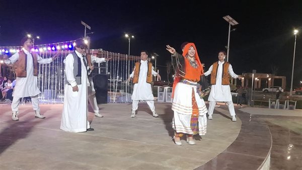 جانب من العروض الثقافية