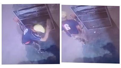 كانت نايمة ومأذتش حد.. فيديو قتل شاب لـ قطة يثير غضب السوشيال ميديا