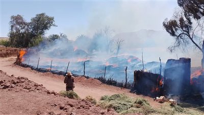 اشتعال النيران في إحدى شون القمح بالوادي الجديد | صور