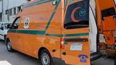 مصرع طالب إعدادي غرقًا في نهر النيل بقرية الصافية في كفر الشيخ 