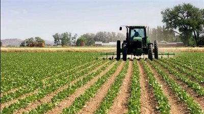 تقرير: فقد الأراضي الرطبة ينذر بخسائر اقتصادية تصل إلى 39 تريليون دولار