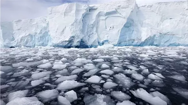  صورة تعبيرية 