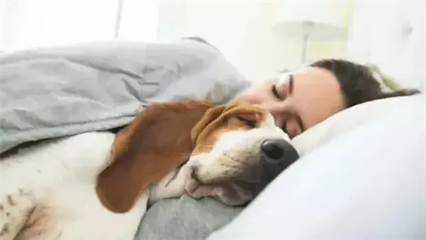 النوم بجوار الحيوانات