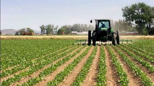 استصلاح الأراضي الزراعية