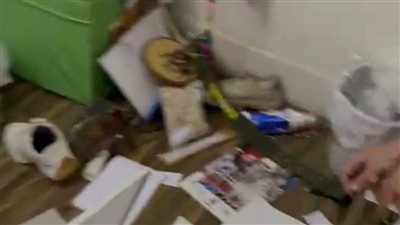 بسبب قطة.. طبيبة بيطرية تتهم سيدة وابنتها بتحطيم عيادتها والاعتداء عليها وإصابة مساعدتها