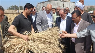 محافظ القليوبية يتفقد صوامع القمح ويؤكد: المحصول مبشر والإنتاجية وفيرة وتم توريد 5170 طنًا 