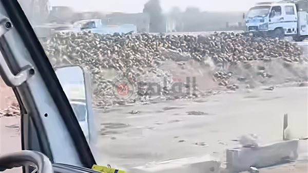 جانب من الحادث