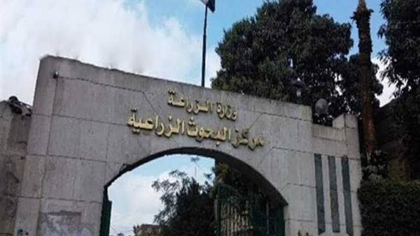 البحوث الزراعية