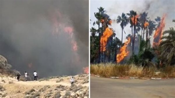 حرائق إسرائيل 