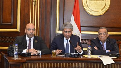 تنسيقية شباب الأحزاب: إدراج «العالم علمين» ضمن المهرجانات ذات الطابع القومي أو الدولي 