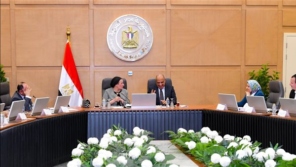 وزيرا البيئة والكهرباء