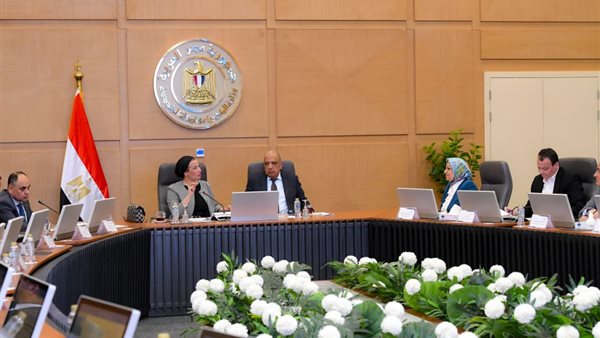 وزير الكهرباء والبيئة