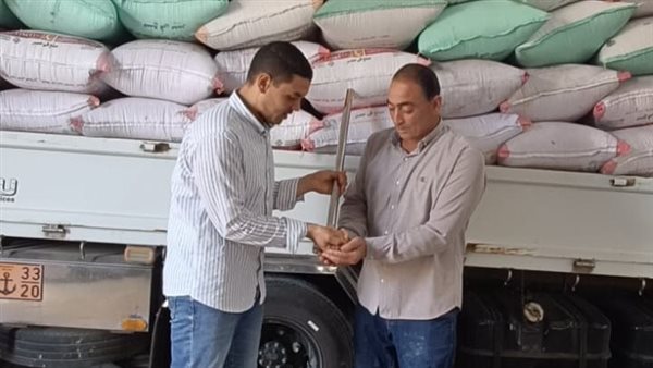 توريد محصول القمح