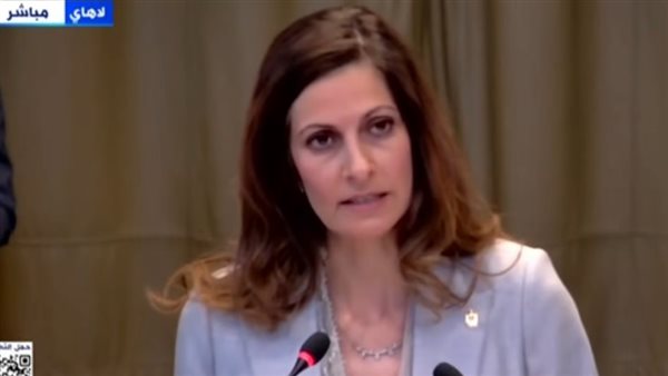 مندوبة مصر أمام محكمة