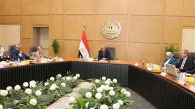 بدء إجراءات إعادة هيكلة الشركة القابضة وفصل المصرية لنقل الكهرباء كمشغل لمنظومة نقل الكهرباء