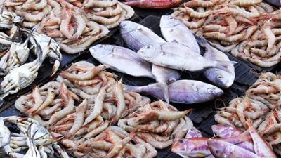 أسعار الأسماك اليوم السبت 15 نوفمبر 2025 في الأسواق