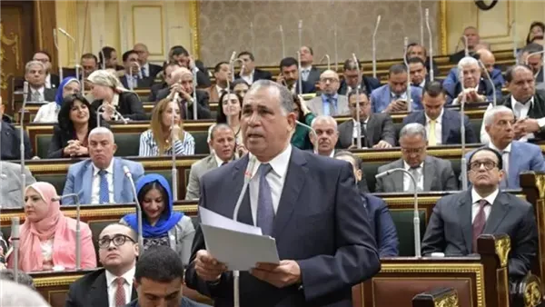 نقيب المحامين بالبرلمان