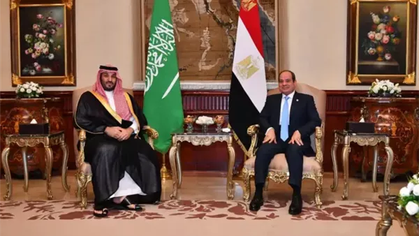 الرئيس السيسي وولي