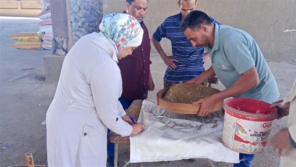 توريد القمح بالجيزة