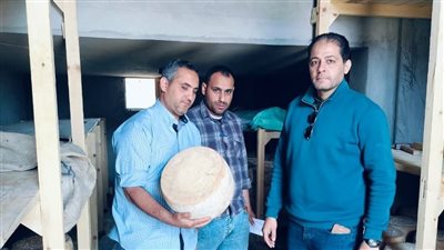 ضبط 120 طن سلع غذائية مجهولة المصدر ومنتهية الصلاحية بالبحيرة