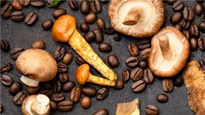 قهوة الفطر.. مشروب غير تقليدي يجذب الأنظار بفوائده الصحية المذهلة