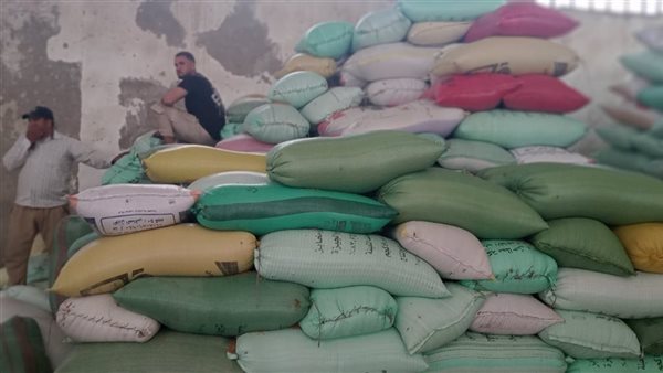 توريد محصول القمح