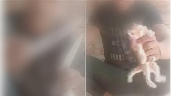 فيديو الشاب المعتدي