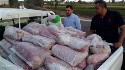 ضبط 25 كرتونة إندومي و75 كرتونة سناكس مجهولة المصدر خلال حملات تموينية ببني سويف