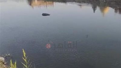 العثور على جثة شاب طافية بمياه ترعة في أشمون بالمنوفية