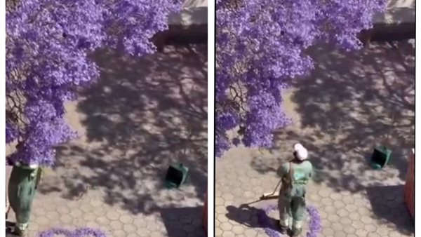  عامل نظافة سعودي