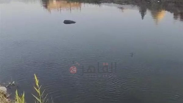 بحر عزبة الأهالي