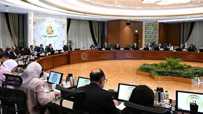 متحدث الحكومة: معدلات الإصابة بالجذام في مصر من بين الأدنى عالميًا