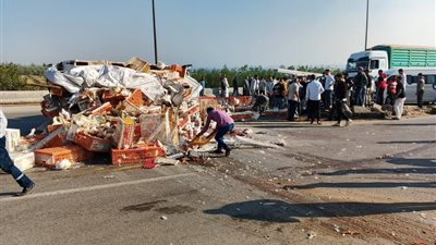 انقلاب سيارة محملة بالدواجن على الطريق الإقليمي قرب أشمون.. ونفوق عدد كبير من الفراخ