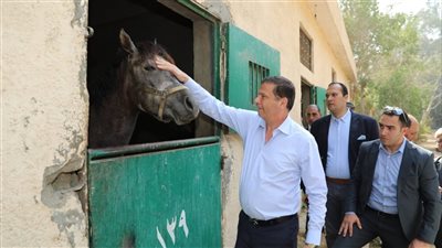 بعد تعليمات السيسي.. الزراعة توجه بتشكيل لجنة لتقييم وضع محطة الزهراء للخيول العربية الأصيلة وتحديد اللازم للتطوير 
