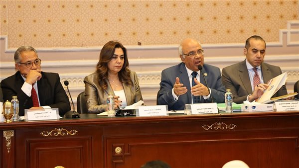 وزيرة التنمية المحلية