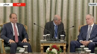 السيسي: مصر عمرها ما كانت معبر للهجرة غير الشرعية.. ومن 2016 لم يخرج مركب واحد منها