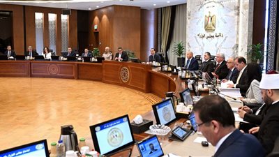 مصادر: لا تغييرات وزارية قبل 3 يوليو المقبل 