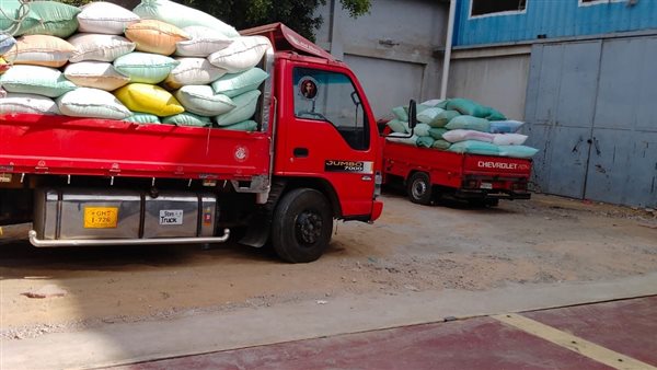 توريد محصول القمح