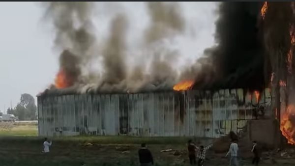 جانب من الحريق