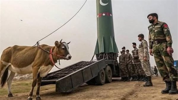 الصورة المتداولة