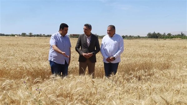 محافظ السويس يفتتح