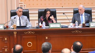 وزيرة التضامن تشارك في اجتماع النواب لمناقشة مشروع موازنة العام المالي 2025-2026 لديوان عام الوزارة