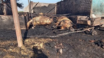 السيطرة على حريق اندلع في حظيرة مواشي بقرية كفر خزام بالمنيا