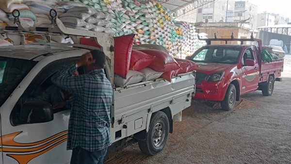 توريد محصول القمح