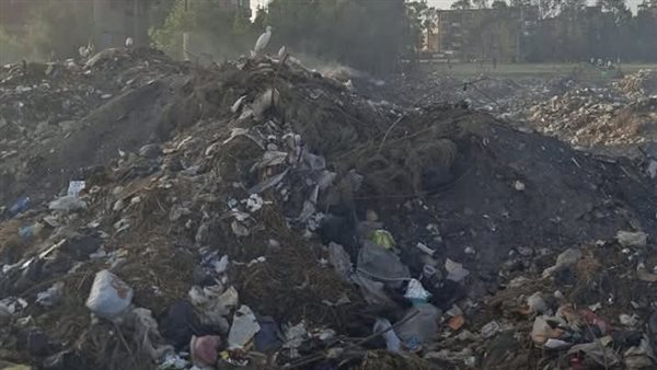 مقلب القمامة