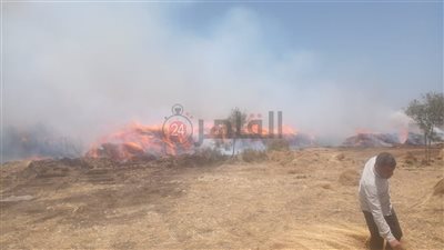 بينهم رجال بالحماية المدنية.. إصابة 17 شخصًا في حريق شونة كتان بسمنود بالغربية