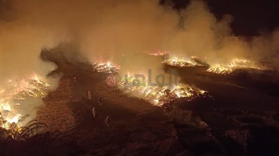 لمنع تفاقم الوضع.. فصل الكهرباء والغاز عن محيط حريق شونة كتان بالغربية 