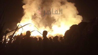 نفوق 110 رؤوس أغنام واحتراق 6 نخلات في حريق بحظيرة ماشية بالمنيا