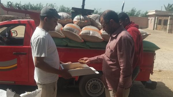 توريد محصول القمح